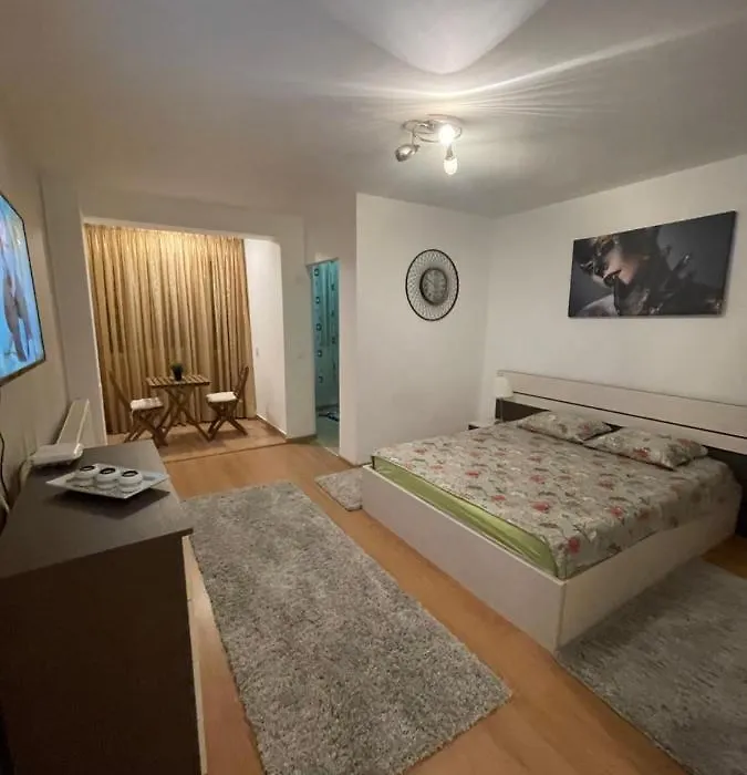 Garsoniera Single Room 19-1