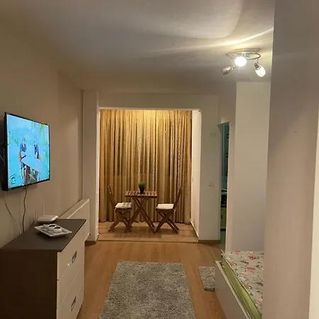 Garsoniera Single Room 19-2